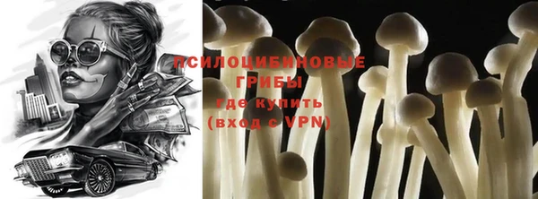 ГАЛЛЮЦИНОГЕННЫЕ ГРИБЫ Мегион