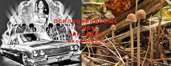 дмт Медвежьегорск