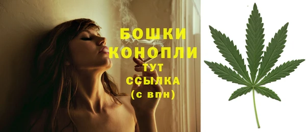 ГАЛЛЮЦИНОГЕННЫЕ ГРИБЫ Мегион