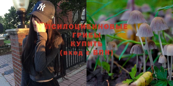 альфа пвп Медногорск