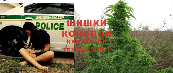 ГАЛЛЮЦИНОГЕННЫЕ ГРИБЫ Мегион