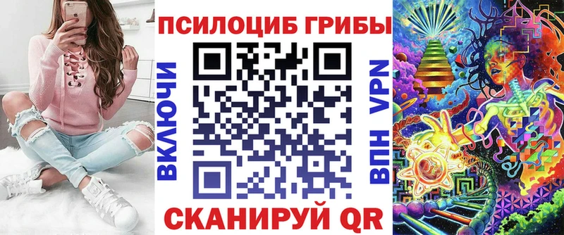 Купить где  Бирюч  Галлюциногенные грибы Magic Shrooms 