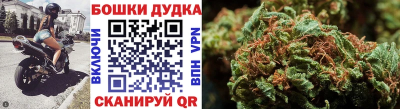 Канабис сатива  Купить  Бирюч 